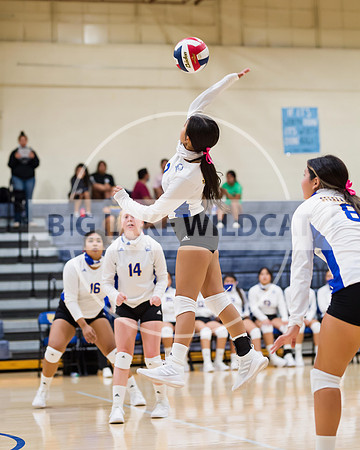 DSC_2575