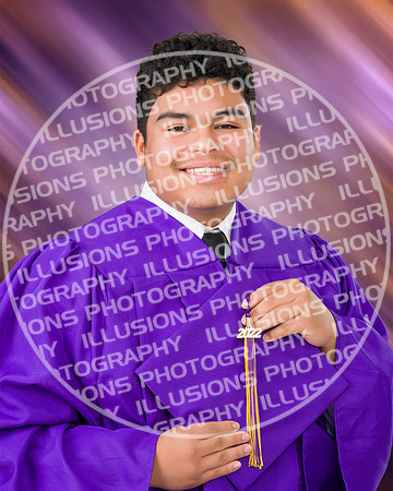 Dominguez_Desi 03 FINAL