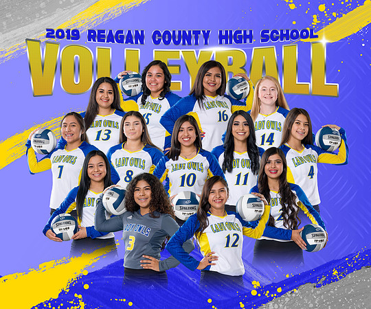 Reagan County - Volleyball - Team Banner for Gym